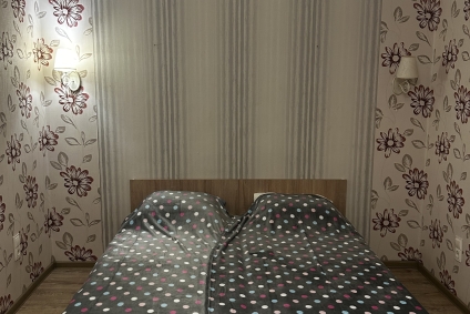 Современная квартира в центре города